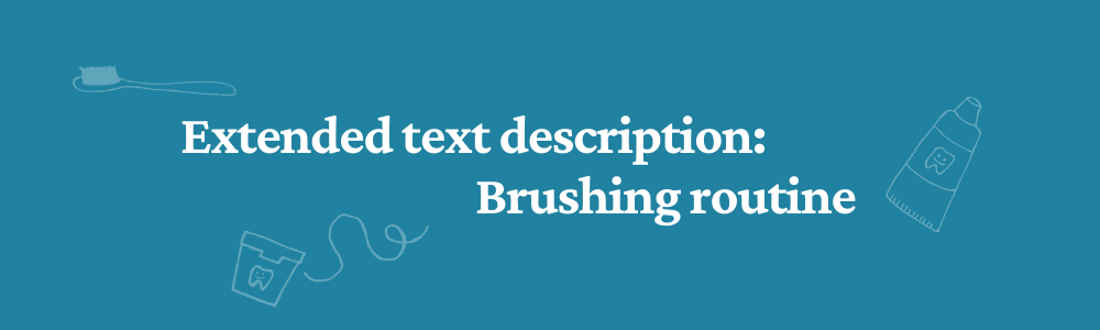 Extended text description: Brushing routine