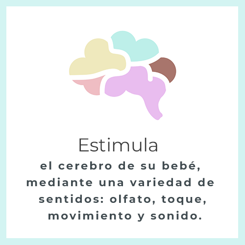 Estimula el cerebro de su bebé mediante una variedad de sentidos: olfato, toque, movimiento y sonido.