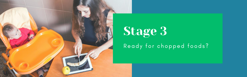 Stage 3; Ready for chopped foods?