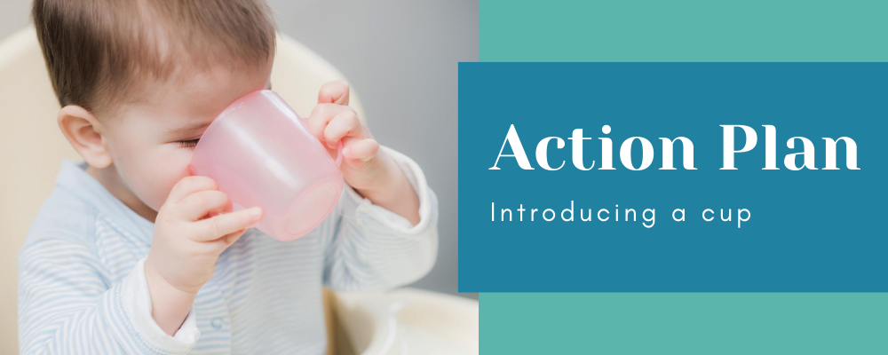 Action Plan; Introducing a cup