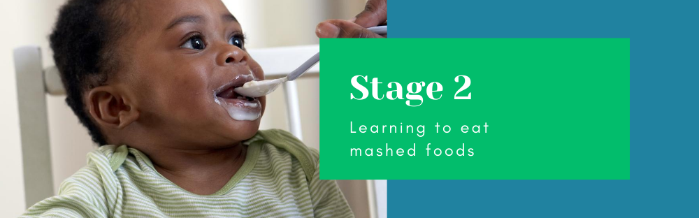 Stage 2; Learning to eat mashed foods