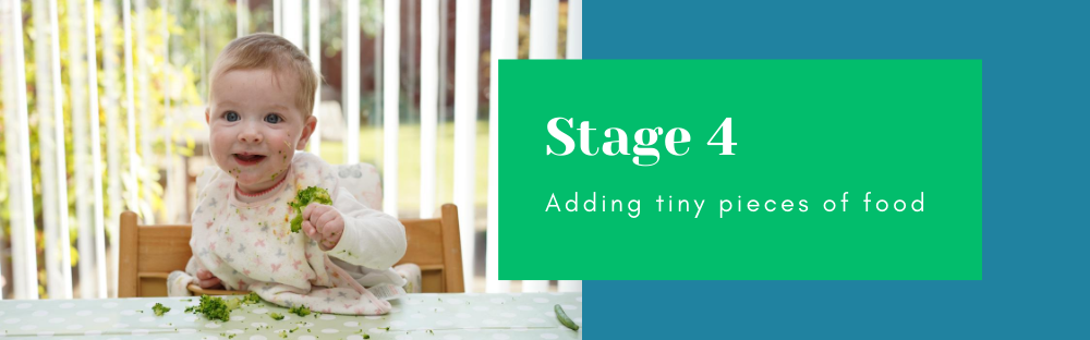 Stage 4; Adding tiny pieces of food