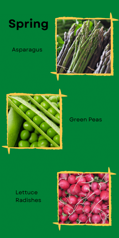 Content is available in the PDF linked below.