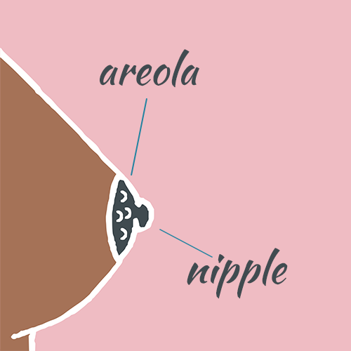  image of areola and nipple