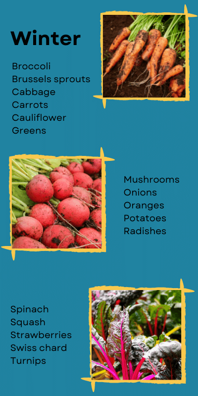 Content is available in the PDF linked below.